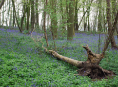 De Maarkebeekvallei. Bron: website Maarkedal