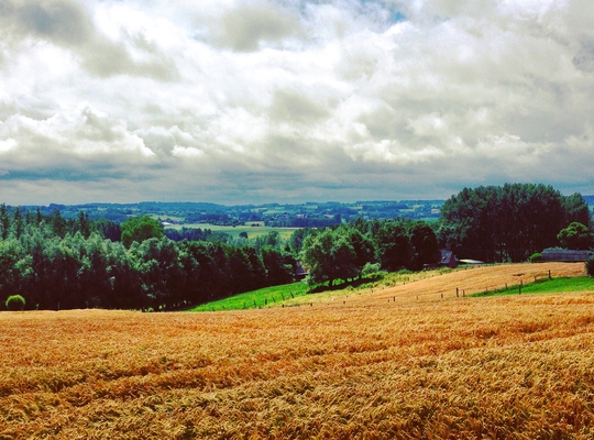 Vlaamse Ardennen Vlaamse Ardennen